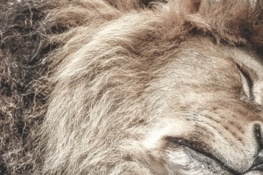 BIM-EASY Educaton ist online